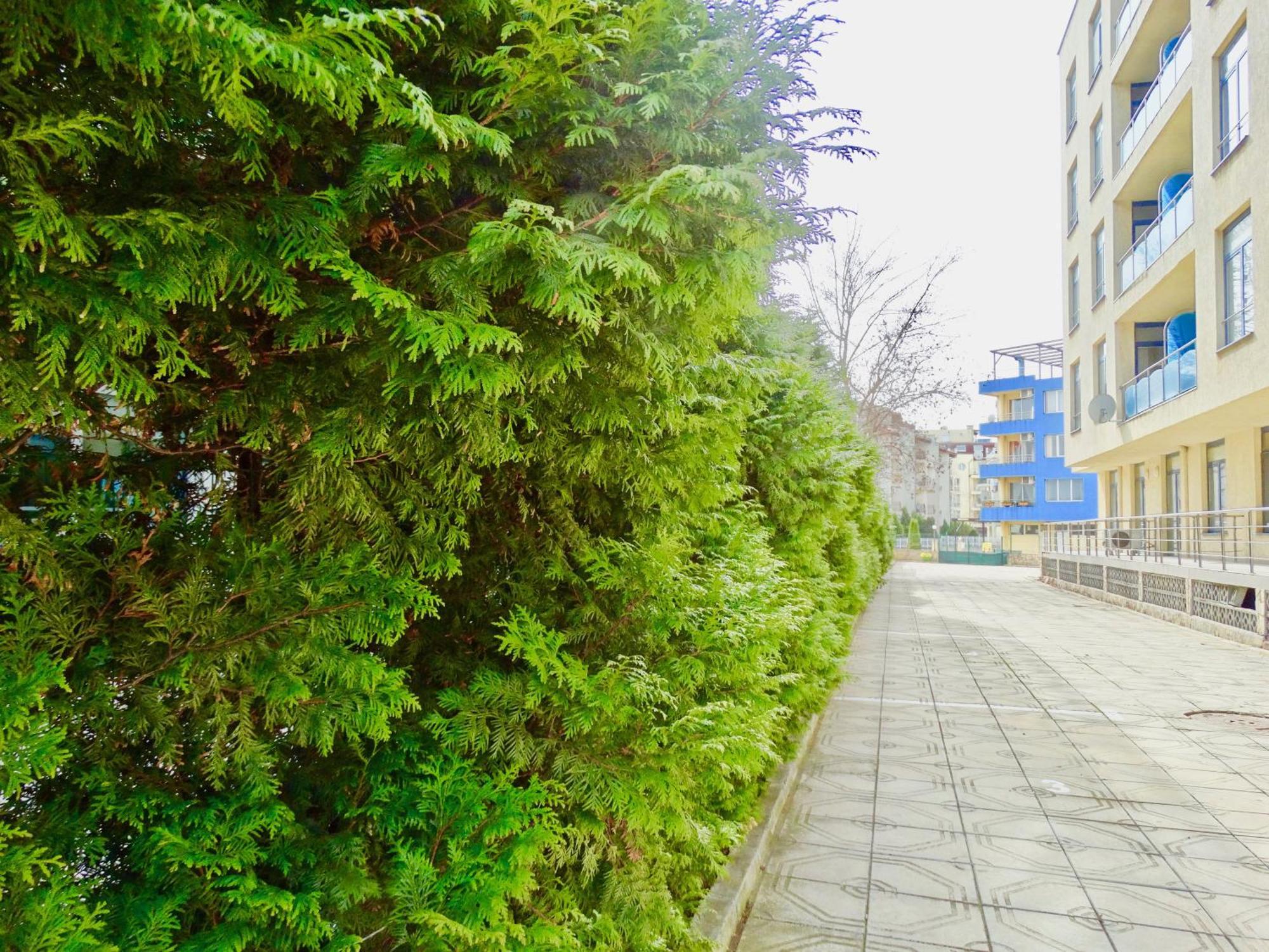 Rainbow 1 Holiday Complex Солнечный берег Экстерьер фото